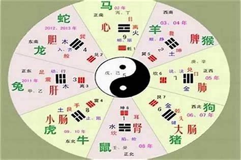 邱字五行|邱的五行属性是什么